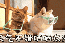 比抖音网红饮料好玩好喝却没大火？替它们实名不服！，日本进口三佳利波子汽水