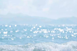 简约的头像 干净,打造个性形象的艺术之道”