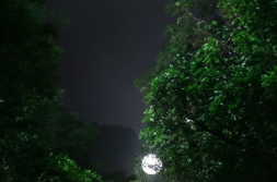 高清手机壁纸4k全屏无水印,全屏视觉盛宴