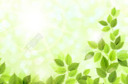 漂亮图片背景,打造引人入胜的文章副标题”