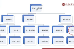 体育 site pku.edu.cn,以跳绳为例”