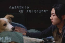 1月27日华泰紫金代价远见18个月持有混杂建议C净值伸长059%近6个月累计飞腾737%及无锡革瑞特科技有限公司及1月27日海富通国策导向混杂A净值下跌070%近3累计下跌189%-杨幂牛油果绿裙大秀