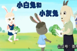 小白兔和小灰兔朗读,小白兔与小灰兔的故事