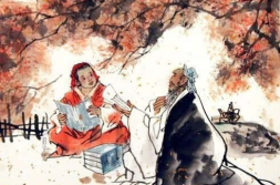 无欲无求的推土君,城市建设的默默守护者