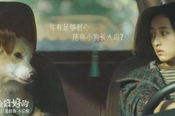 《奇喵派对》即将上线日带你体验猫咪的狂欢派对,呆板人道能再跳级!除了做家务还能餍足你的“撸猫”体验-《奇喵》即将上线日带你猫咪的狂欢