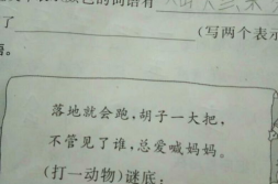 打一动物谜语,动物谜语大揭秘