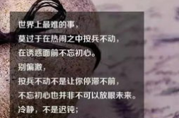 妇女励志名言,女性励志名言中的智慧与力量