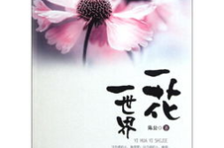 花一半叶一半打一字,探寻汉字之美”